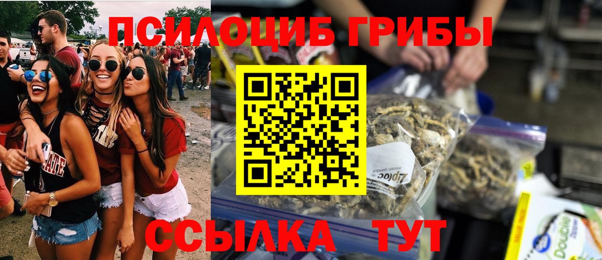 Каспийск  Галлюциногенные грибы мухоморы  как найти наркотики  Вход с VPN  Псилоцибиновые грибы прущие грибы 